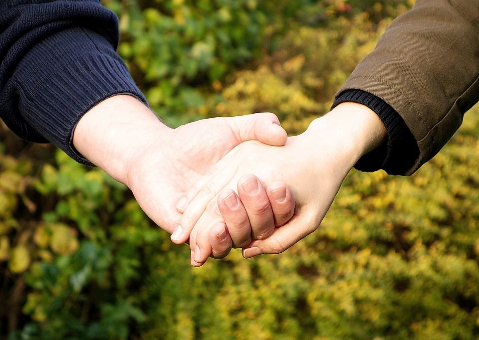 A close-up of two hands shaking outdoors, with greenery in the background, symbolizing agreement and partnership.