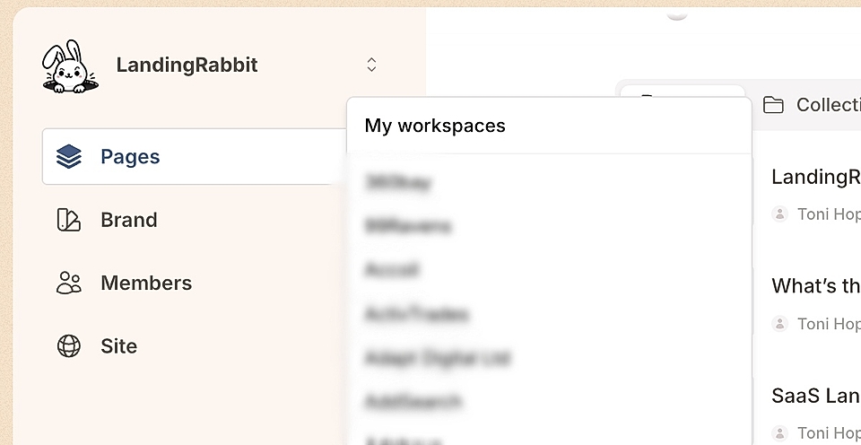 Screenshot of the LandingRabbit dashboard showcasing workspace navigation and brand management features.