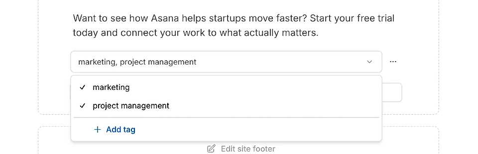 Choose a tag in the Custom section in the LandingRabbit page editor