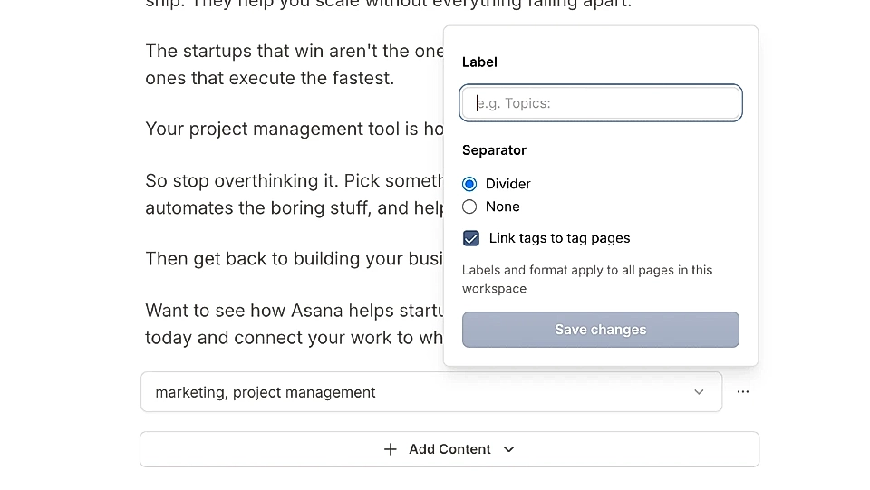 Settings for tags in the LandingRabbit page editor