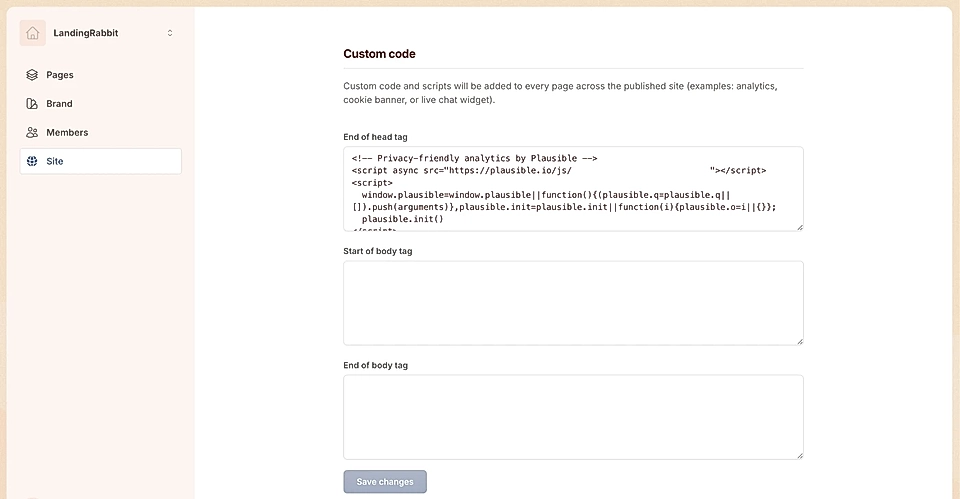 Screenshot of a website custom code settings page, displaying analytics integration options.