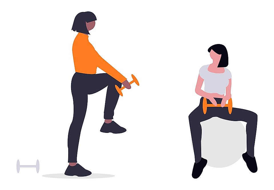 Illustration of two women doing dumbbell exercises, one standing and one seated on a stability ball.