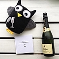 A plush owl toy with glasses, a bottle of sparkling wine, and a small book on a wooden surface.
